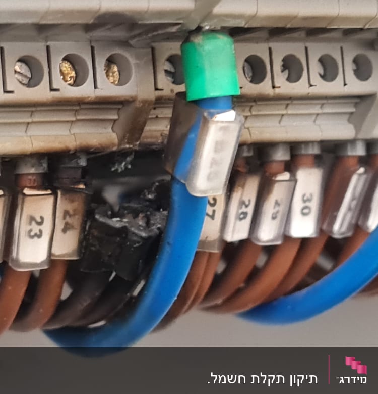 חוטים כחולים וחומים מחוברים לממסר חשמלי